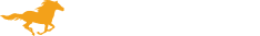 noble gold logo